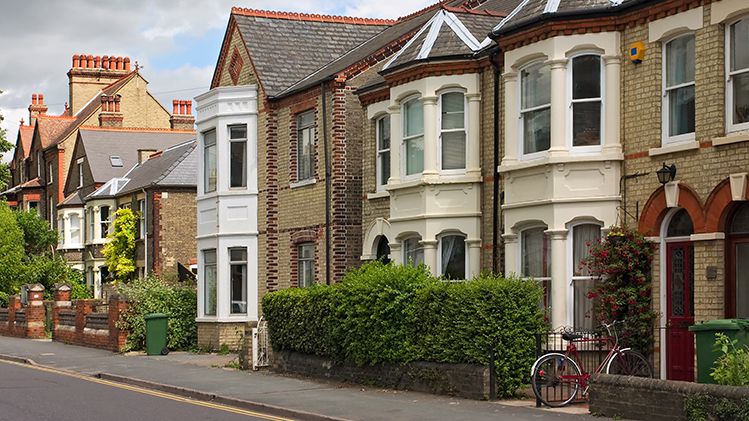 Street of houses visual