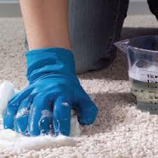 Carpet cleaning visual scrubbing brush