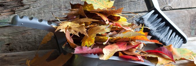 Autumn Cleaning visual
