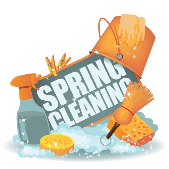 SpringCleaning logo