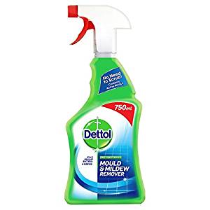 Dettol Mould & Mildew Remover 6x750ml