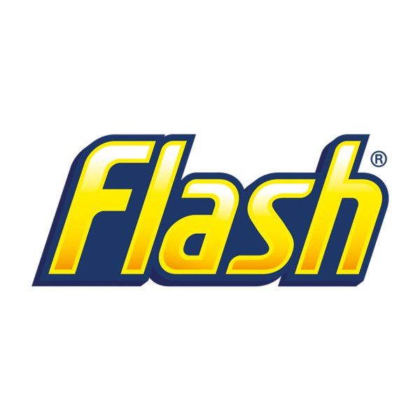 Small Flash logo