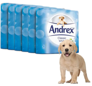 Andrex Classic Clean White 2ply (24 Pack)