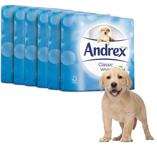Andrex Classic Clean White 2ply (24 Pack)